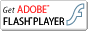 getflashPlayer