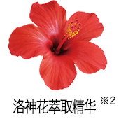 洛神花萃取精华