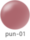 pun-01