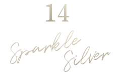 スパークルシルバー