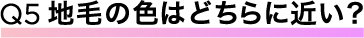地毛の色はどちらに近い？